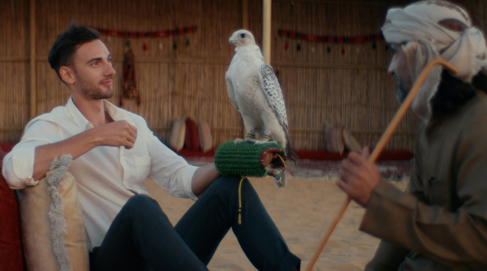 Person wearing a white button-down shirt and dark pants holds a white falcon on their covered arm as another person looks on