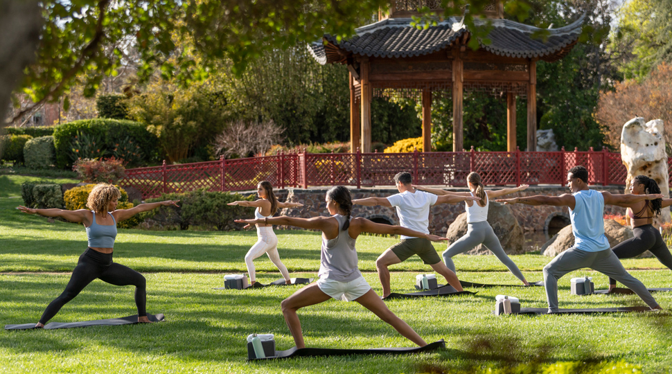 A group of seven people doing yoga on a lawn in front of a gazebo